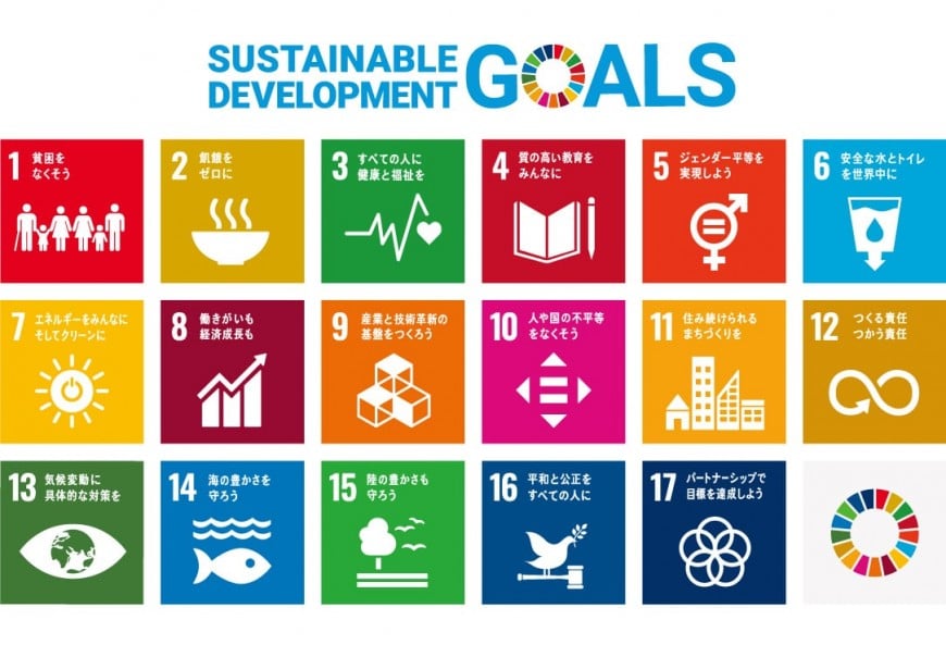 17 sustainable development target "SDGs"